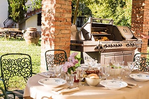 Napoleon Grills - Downunda Pools